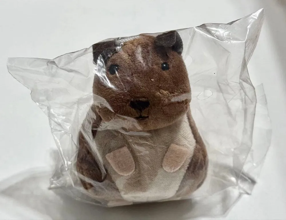 デグーぬいぐるみ アグーチ カプセルトイ
