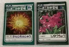 ジャポニカ学習帳ポチ袋 金ピカシールつき 5枚入り 新品未開封品