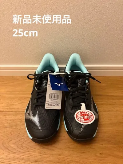MIZUNO ウエーブエクシード COURT SW OC 25.0cm