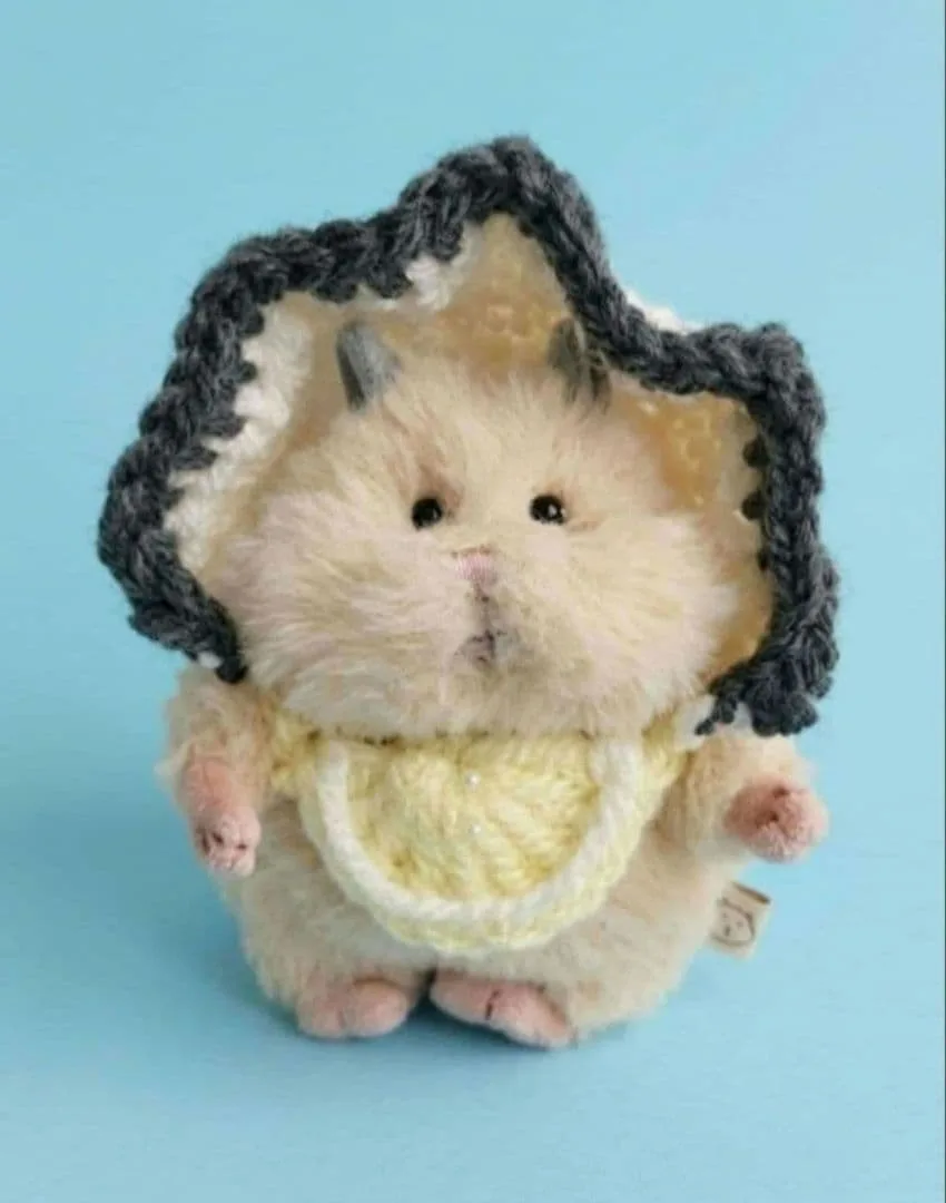 はむにぎり用♡秋のカキちゃんなりきりセット(ボンネット帽子+レモンスタイ)