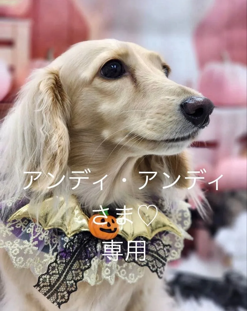 アンディ・アンディさま♡専用