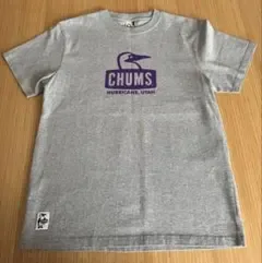 【新品】CHUMS チャムスブービーバード ロゴプリント Tシャツ グレー M