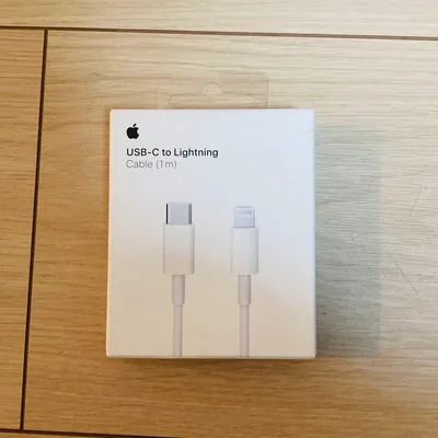 Apple USB-C to Lightning Cable (1m)