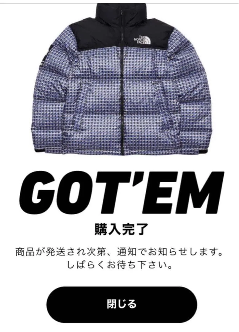 本日限定価格 Supreme THE NORTH FACE ダウンジャケット