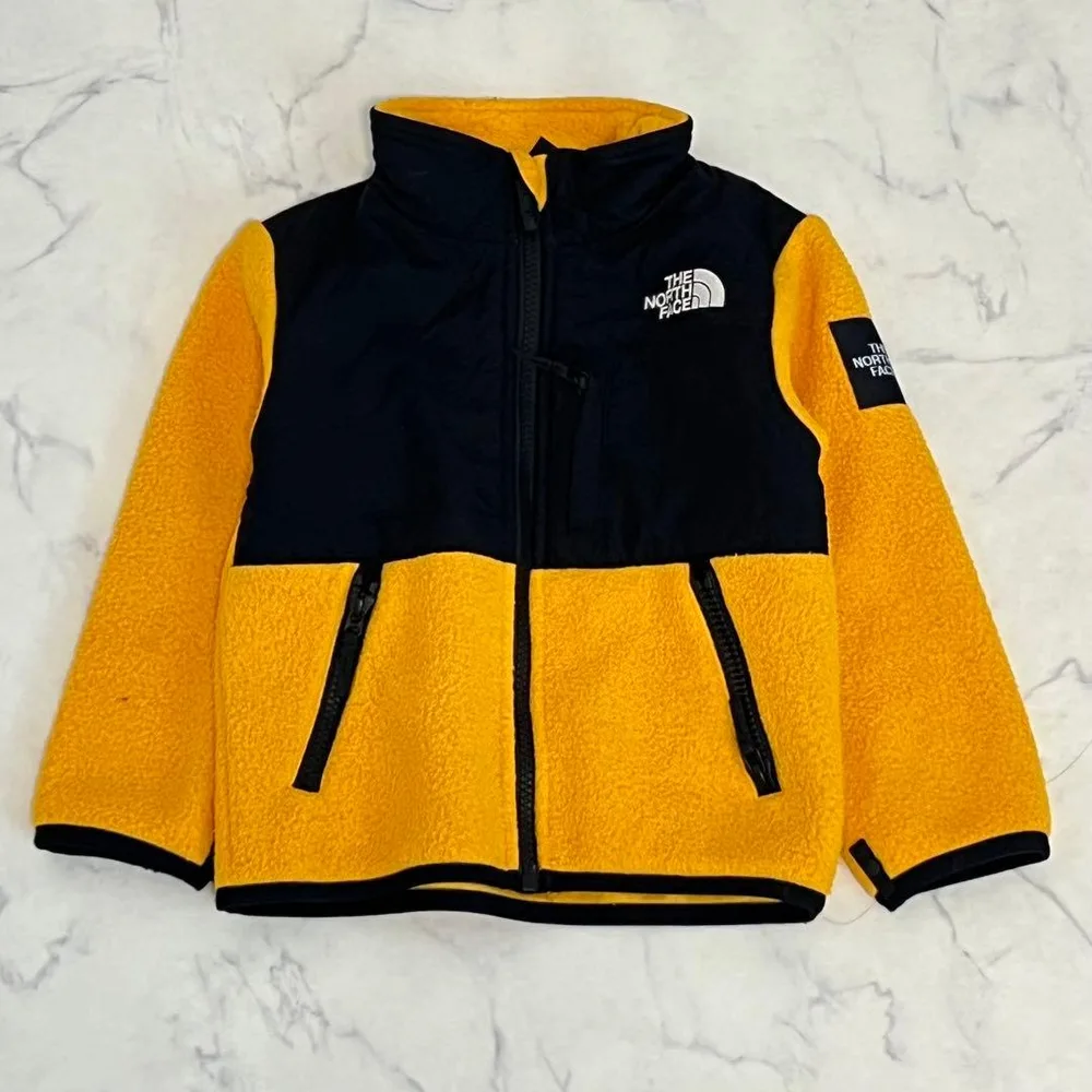 ノースフェイス フリース デナリジャケット キッズ 100