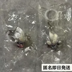 ウルトラマン めじるしアクセサリー 2種セット