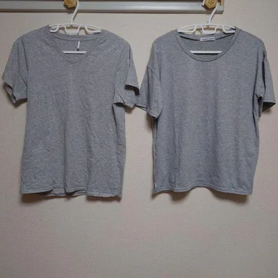 レディース Tシャツ グレー 2枚セット Lサイズとフリーサイズ