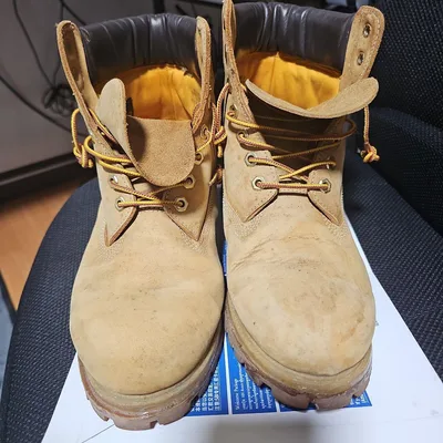 Timberland 6インチ プレミアム ブーツ ウィート
