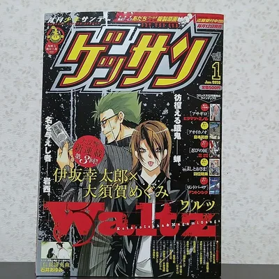 ゲッサン 2010年1月号 月刊少年サンデー