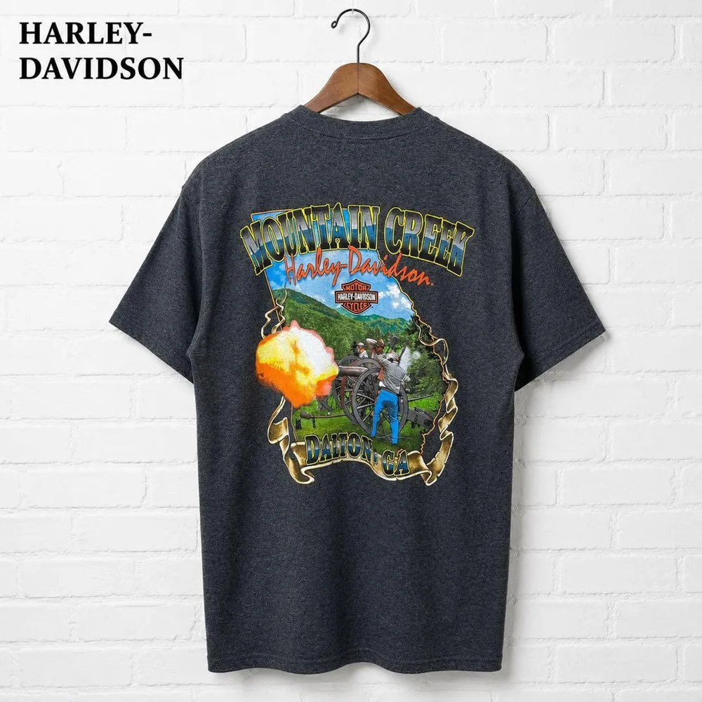 美品⭐️HARLEY-DAVIDSON ビックプリント M グレー