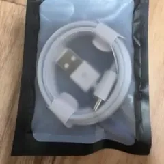 USB Type-C 充電ケーブル ホワイト