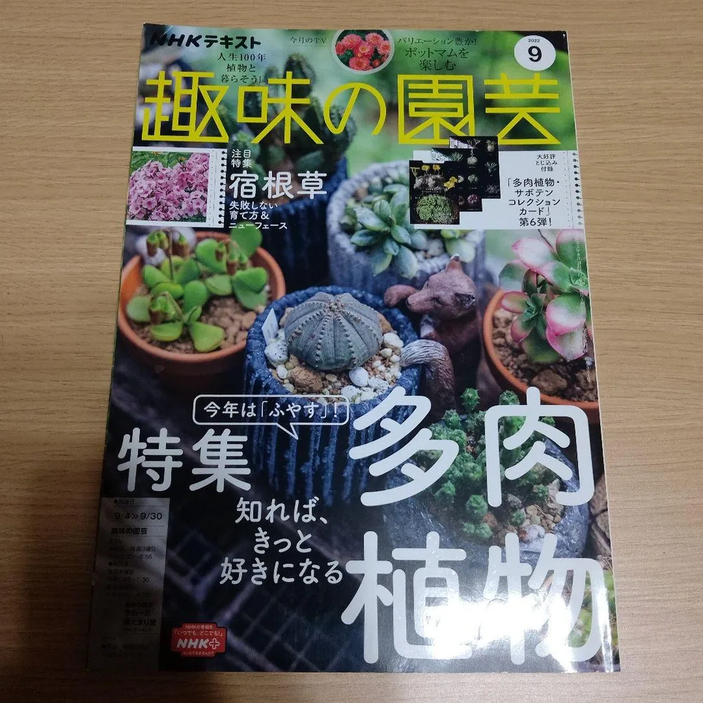NHKテキスト 趣味の園芸 2022年9月号 特集 多肉植物