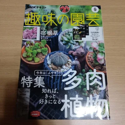NHKテキスト 趣味の園芸 2022年9月号 特集 多肉植物