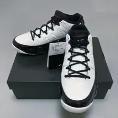 AIR JORDAN 9 G 【ゴルフシューズ】FJ5934-100 【27】
