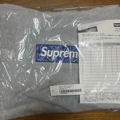 納品書付属 Bandana Box Logo Hooded Sweatshirt