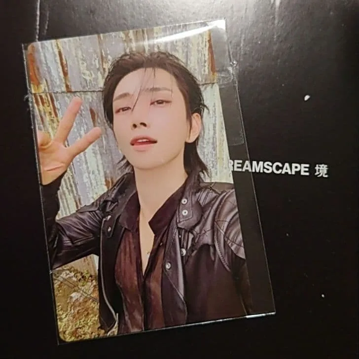 SEVENTEEN DREAMSCAPE グローバル特典