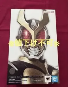 S.H.Figuarts 真骨彫 仮面ライダーアギト グランドフォーム 25th