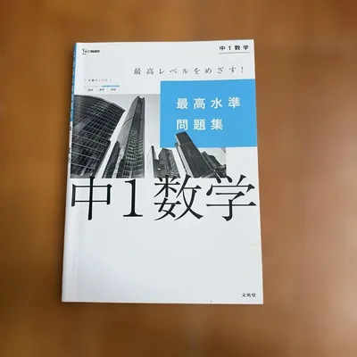 最高水準問題集 中1数学