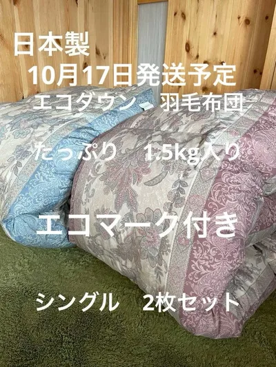 2枚セット【エコダウン使用】寒冷地仕様 羽毛布団 シングル ホテル仕様