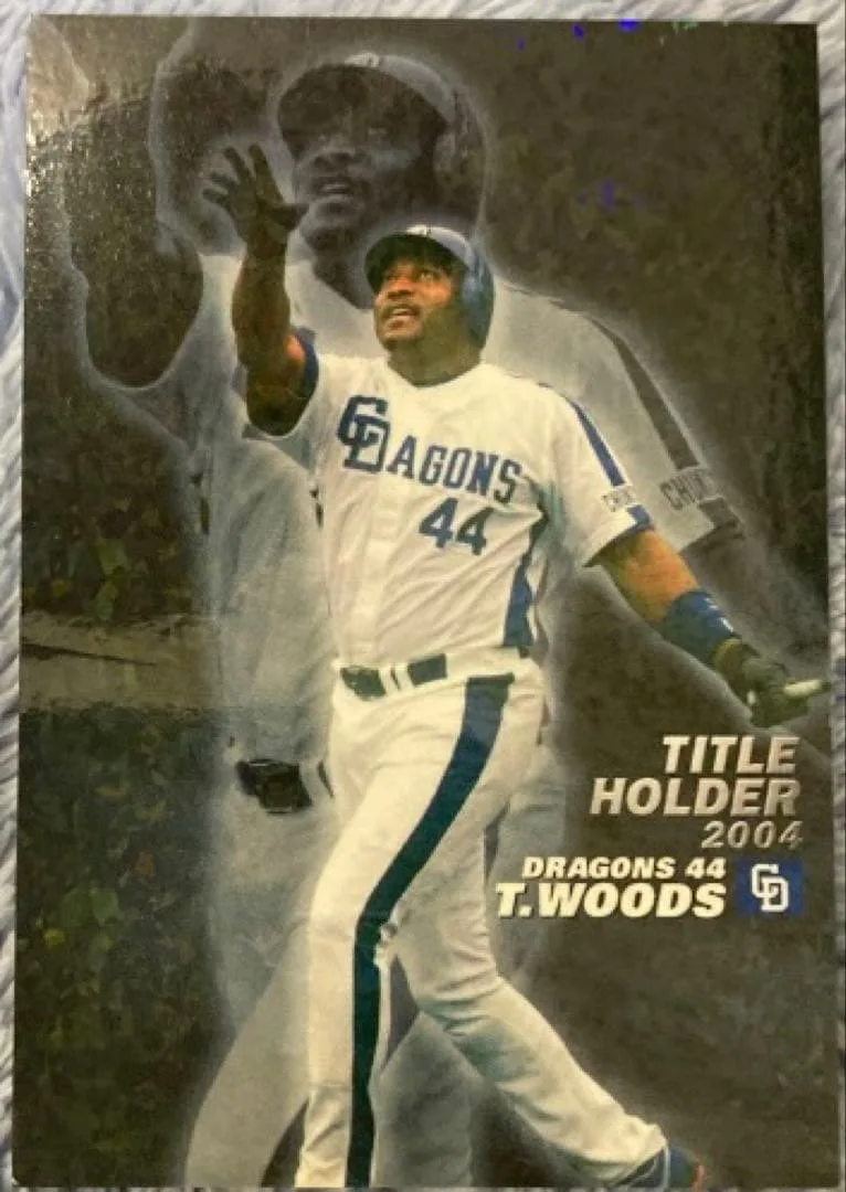 【✨美品✨】プロ野球チップス2005 中日ドラゴンズ T・ウッズ タイトルホルダ