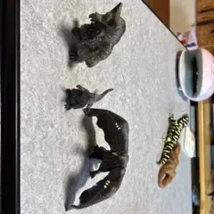 怪獣ミニフィギュア3点セット
