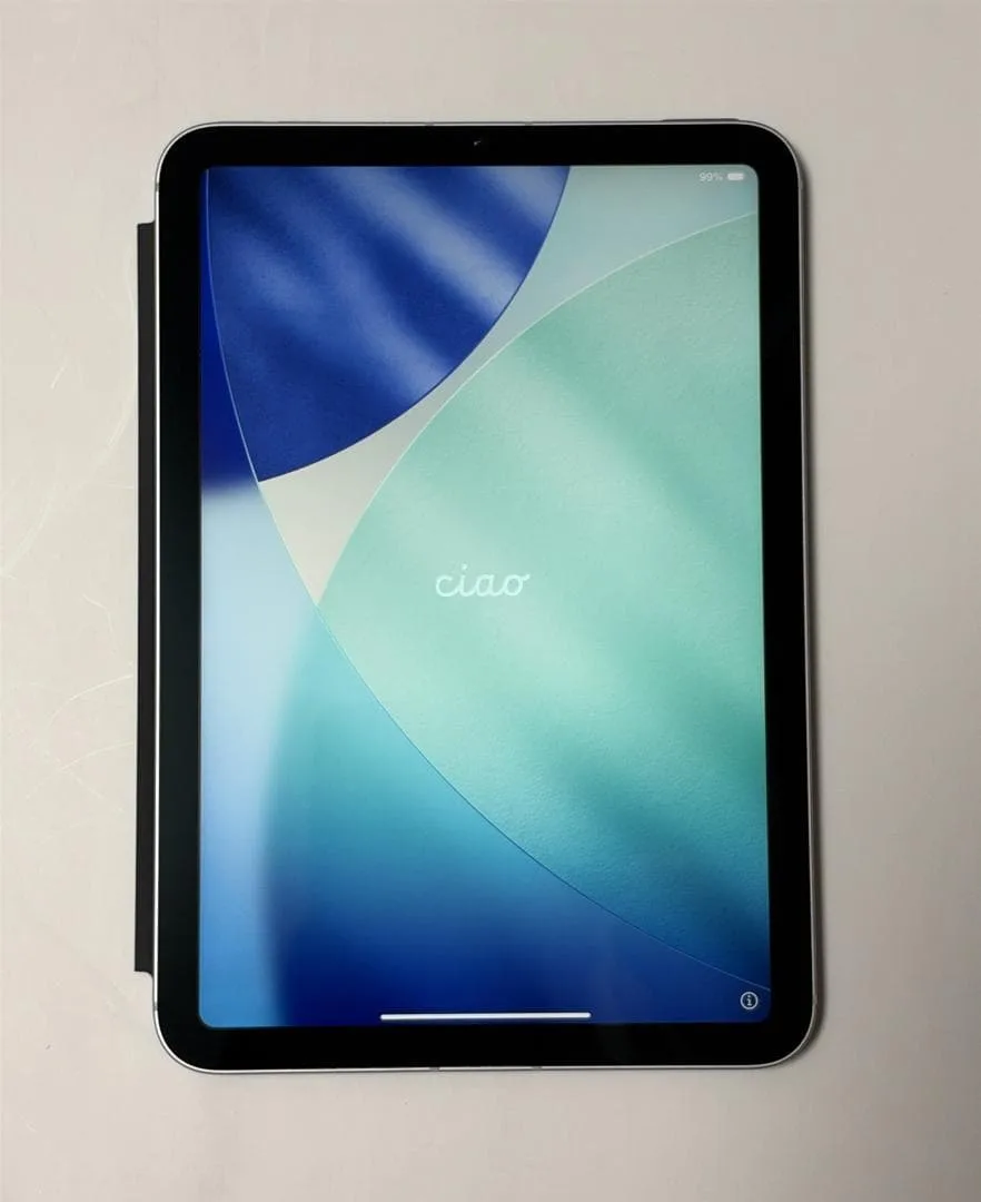 iPad mini 7(A17 Pro) 256GB セルラー ※おまけ付き