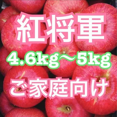 朝もぎ新鮮りんご 紅将軍(希少品種) ご家庭向け 5kg