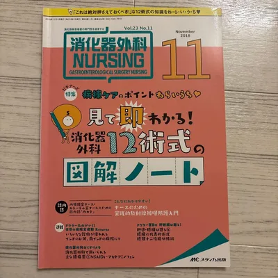 消化器外科ナーシング 2018年11月号