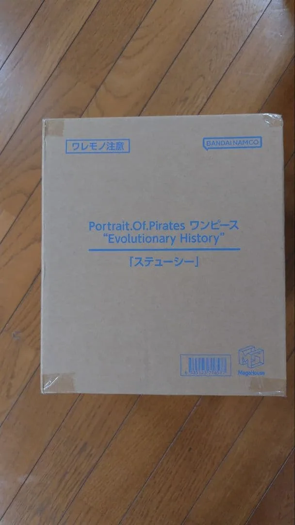P.O.P ワンピース Evolutionary History ステューシー
