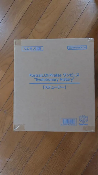 P.O.P ワンピース Evolutionary History ステューシー