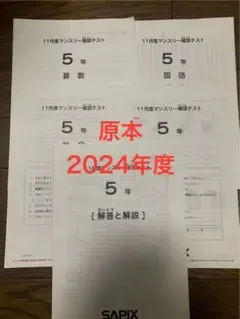 書き込みなし SAPIX 5年11月度マンスリー確認テスト 2024年