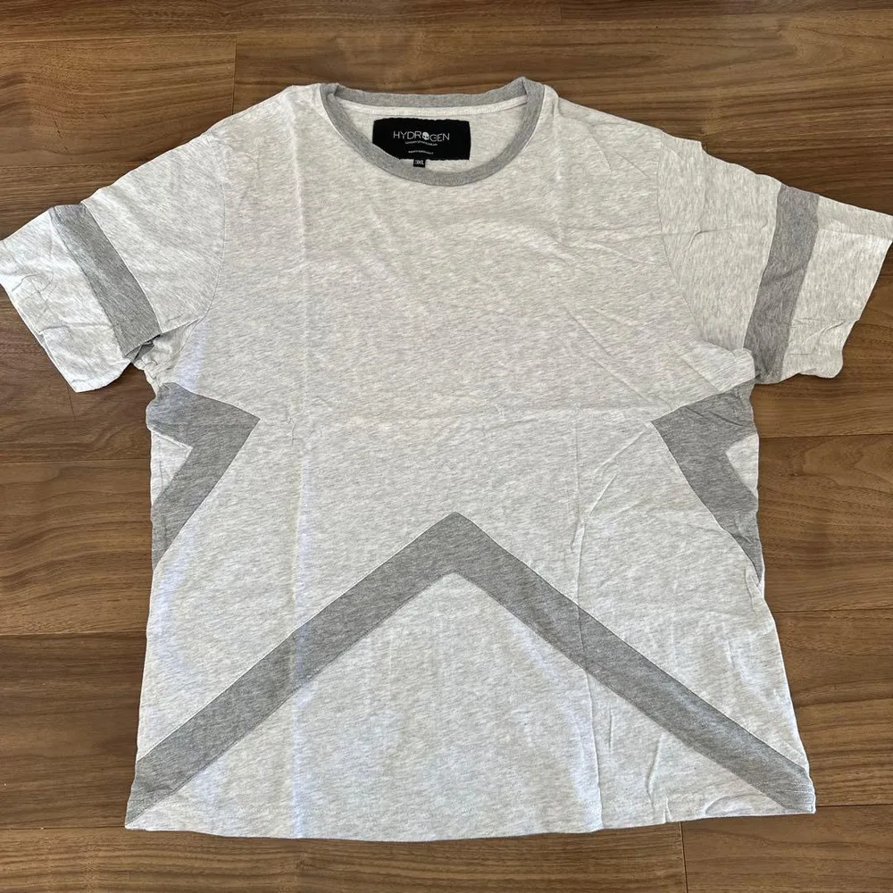 【美品】HYDRODEN ハイドロゲン Tシャツ グレー 3XL