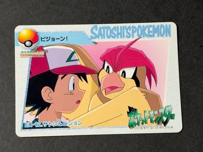 ポケットモンスター ポケモン アニメコレクション カード サトシ ピジョン