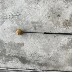 オレンジウィップ素振り