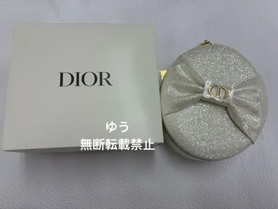 新品 Dior ディオール ホリデー限定 ジュエリーケース ノベルティ ポーチ