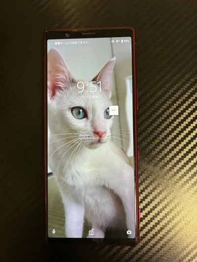 SONY Xperia 5 SO-01M 本体