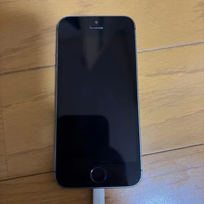 Apple iPhone 5 本体