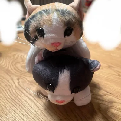 猫 ぬいぐるみ ポーチ4種セット フェリシモ