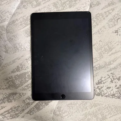 Apple iPad 本体