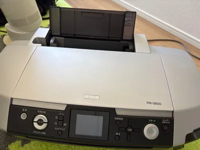 EPSON PM-D800 プリンター 本体