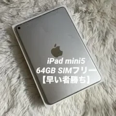 【早い者勝ち】iPad mini5 64GB SIMフリー【すぐ発送】【付属品】