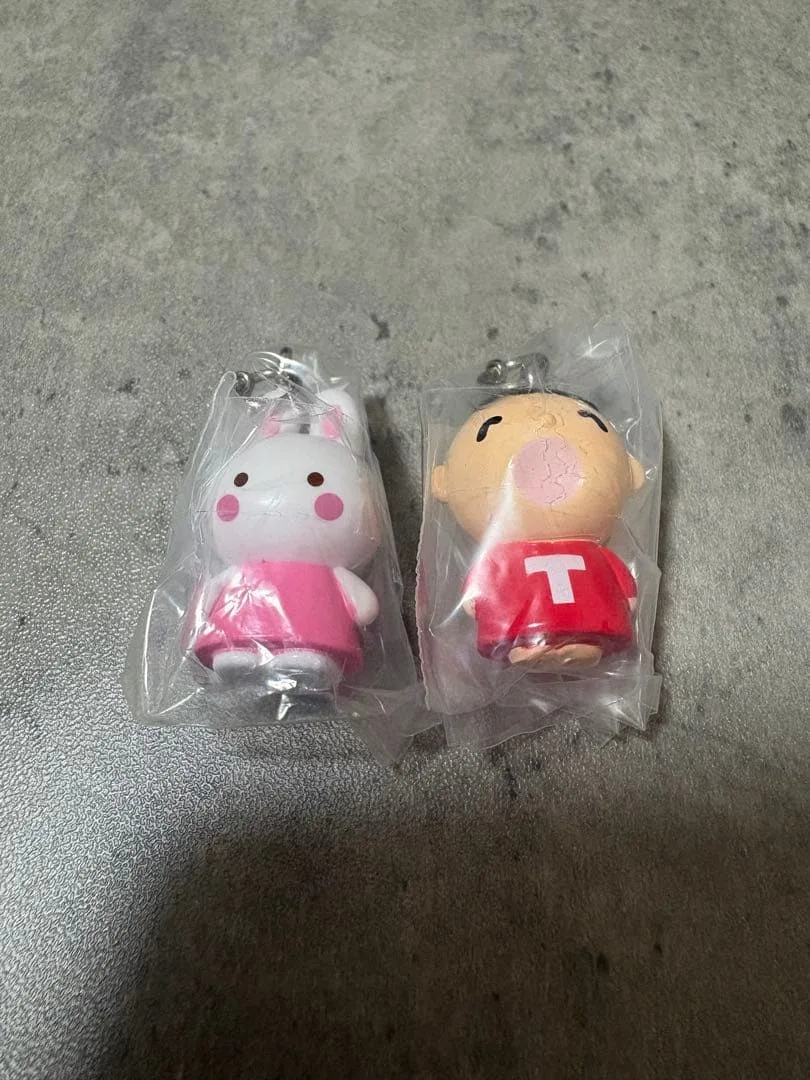 サンリオ めじるしアクセサリー チアリーチャム たあ坊