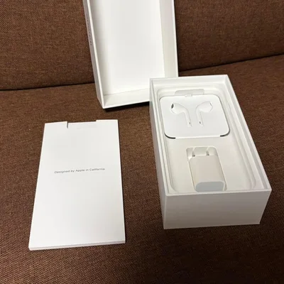 Apple iPhone SE 第2世代 付属品 イヤホン イヤフォン 空箱