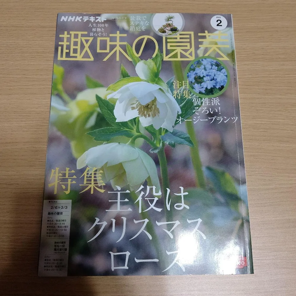 NHKテキスト 趣味の園芸 2022年2月号 特集 主役はクリスマスローズ