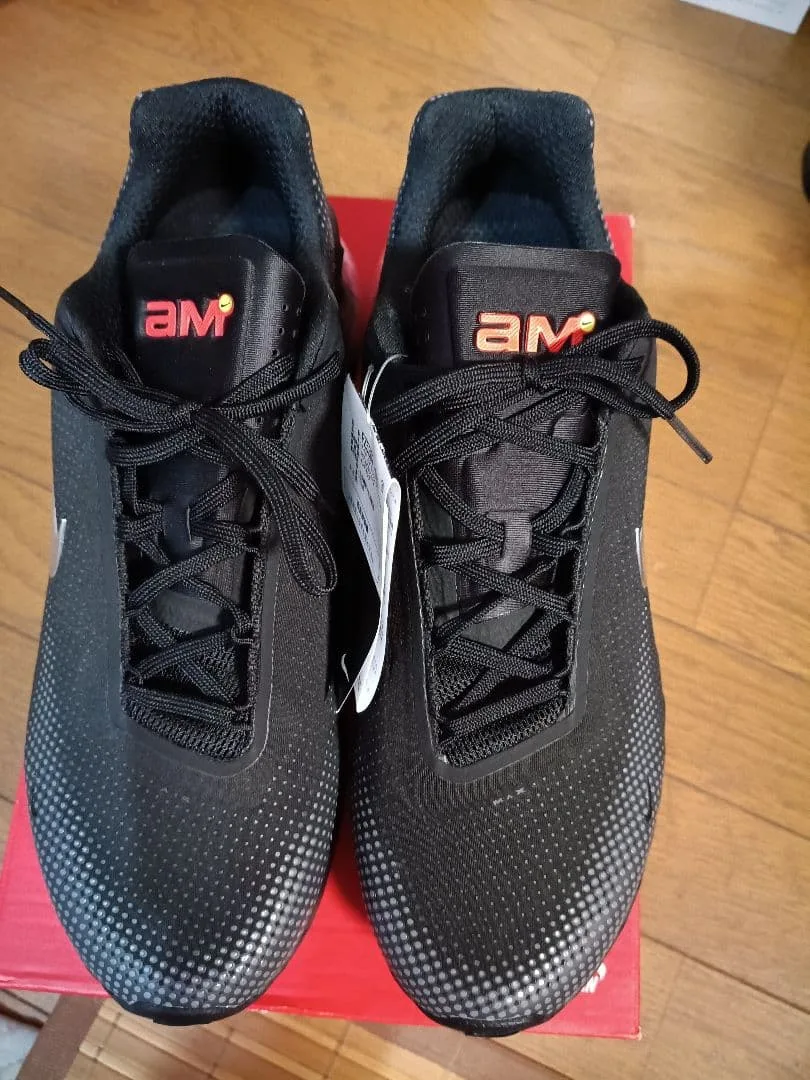 NIKE AIR MAX FENEX ブラック FZ5307-003