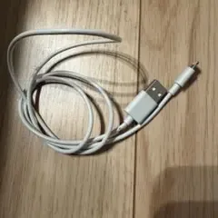 Anker USB-A to Lightning ケーブル