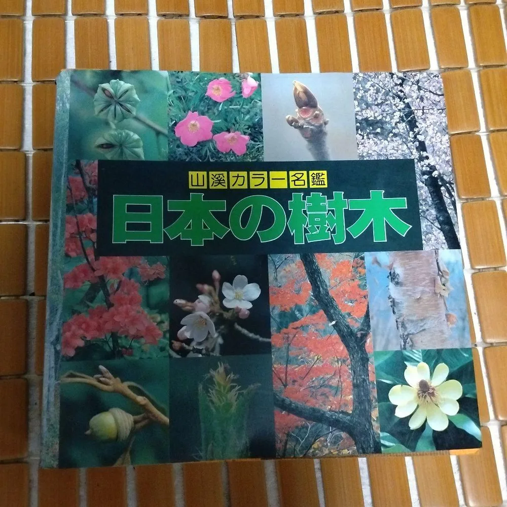 山渓カラー名鑑 日本の樹木