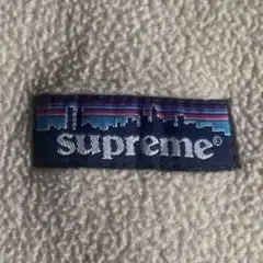 初期 日本限定 supreme patagonia XL