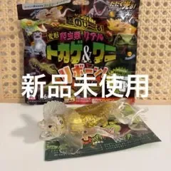 変形爬虫類リアル トカゲ&ワニ リボーン エリマキトカゲ フィギュア