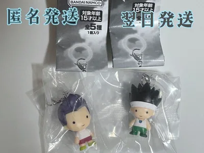 HUNTER×HUNTER めじるしアクセサリー G.I.編 【ゴン&レイザー】